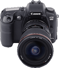 EOS D60