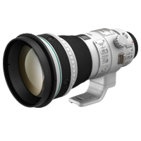 EF 400mm f 4 DO IS II USM