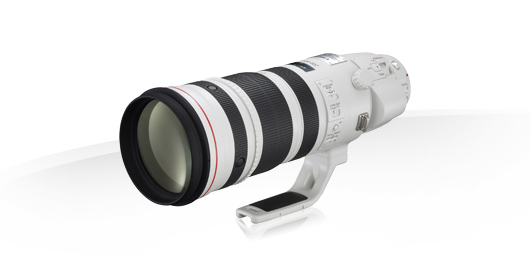 Canon EF 200-400mm f/4L IS USM Extender 1.4x